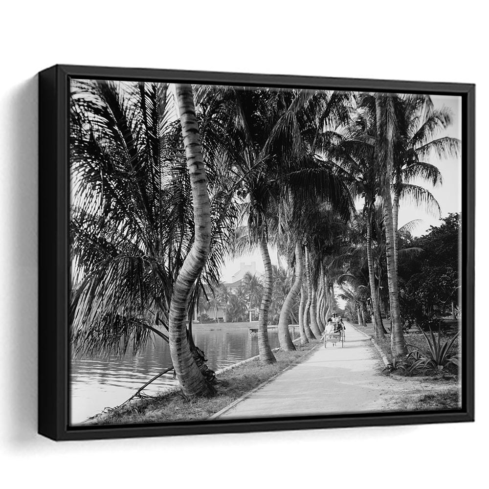 Lakeside Carriage Ride Florida Palm Tree Photo Black and White Art, Floating Framed Canvas Print