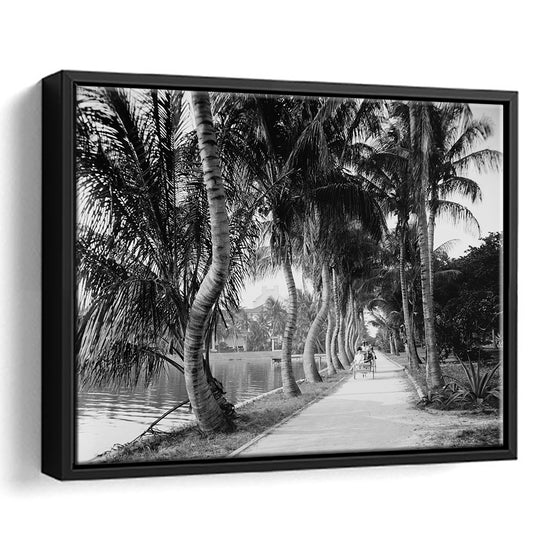 Lakeside Carriage Ride Florida Palm Tree Photo Black and White Art, Floating Framed Canvas Print