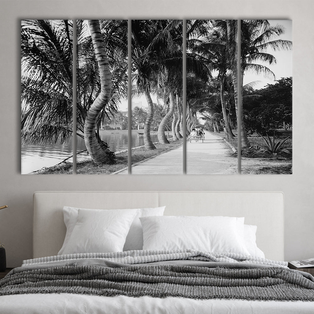 Lakeside Carriage Ride Florida Palm Tree Photo Black and White Art, 5 Pieces Large Canvas Print
