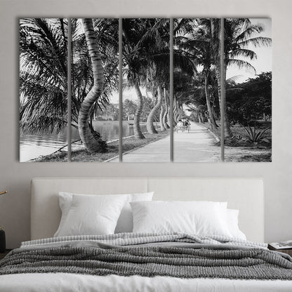 Lakeside Carriage Ride Florida Palm Tree Photo Black and White Art, 5 Pieces Large Canvas Print