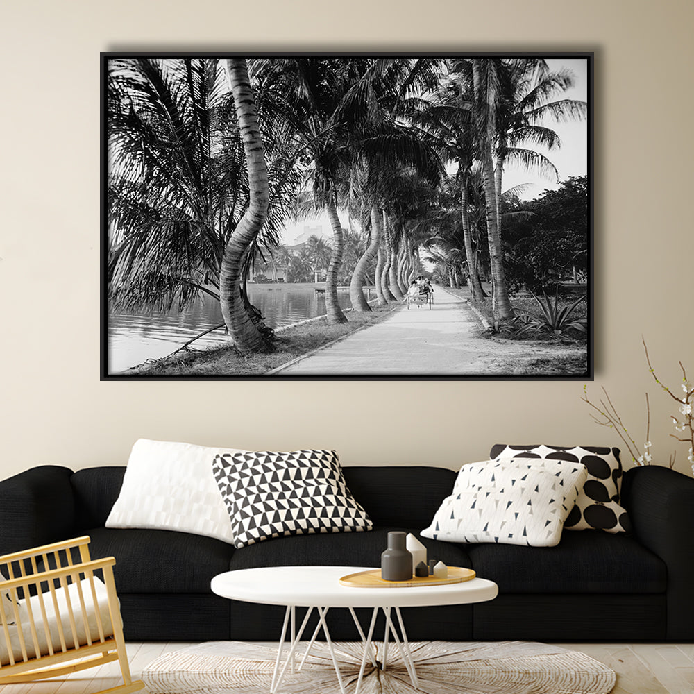 Lakeside Carriage Ride Florida Palm Tree Photo Black and White Art, Floating Framed Canvas Print
