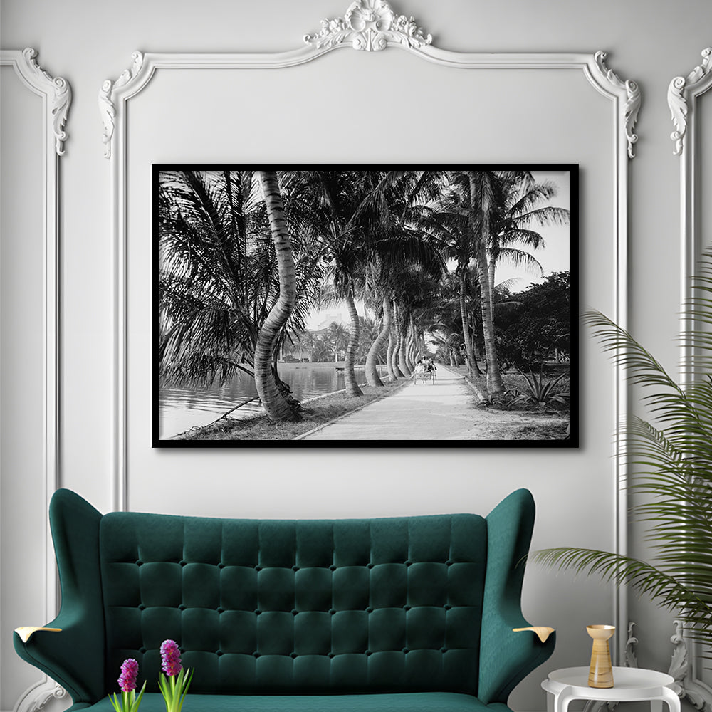 Lakeside Carriage Ride Florida Palm Tree Photo Black and White Art, Framed Art Print Wall Decor