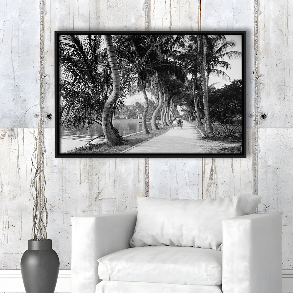 Lakeside Carriage Ride Florida Palm Tree Photo Black and White Art, Floating Framed Canvas Print