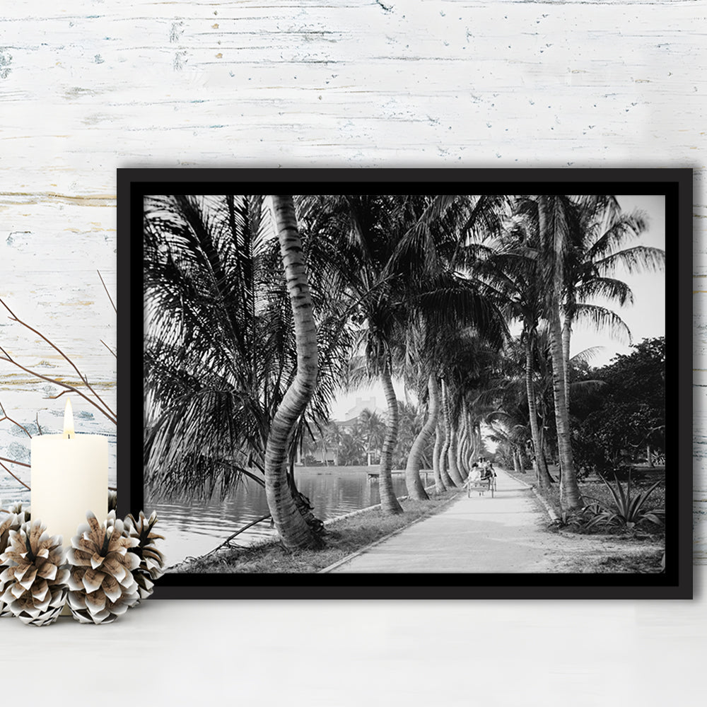 Lakeside Carriage Ride Florida Palm Tree Photo Black and White Art, Floating Framed Canvas Print