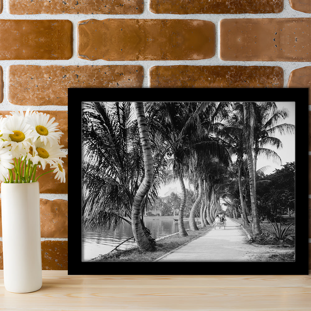 Lakeside Carriage Ride Florida Palm Tree Photo Black and White Art, Framed Art Print Wall Decor