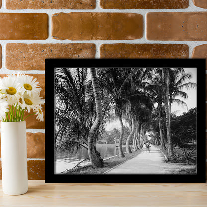 Lakeside Carriage Ride Florida Palm Tree Photo Black and White Art, Framed Art Print Wall Decor