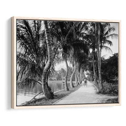 Lakeside Carriage Ride Florida Palm Tree Photo Black and White Art, Floating Framed Canvas Print