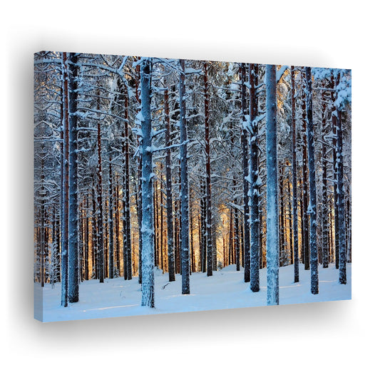Lapland Woods In Winter At Sunset Kuusamo Finland Large Stretched Canvas, Cavas Print Wall Art Hom Decor