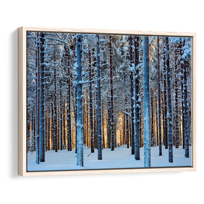Lapland Woods In Winter At Sunset Kuusamo Finland Large Stretched Canvas, Framed Cavas Print, Floating Frame