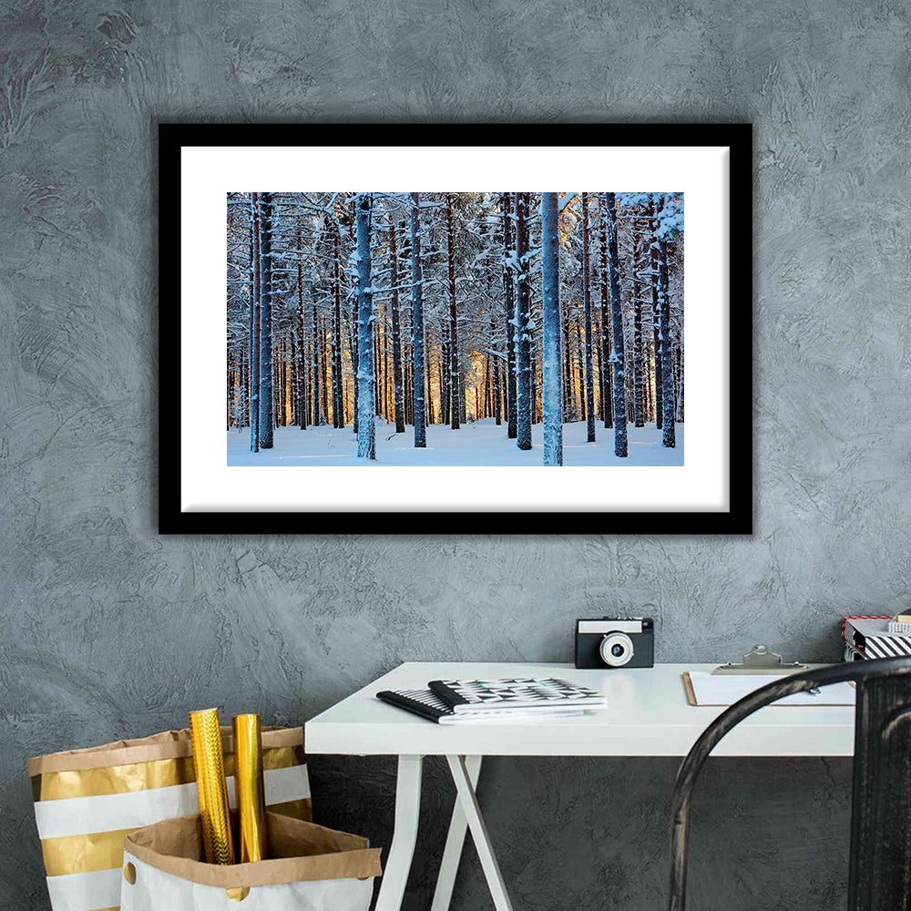 Lapland Woods In Winter At Sunset Kuusamo Finland Large Stretched, Framed Art Print White Border