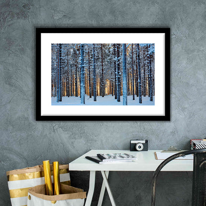 Lapland Woods In Winter At Sunset Kuusamo Finland Large Stretched, Framed Art Print White Border