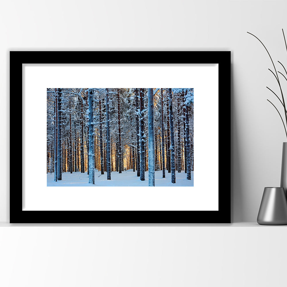 Lapland Woods In Winter At Sunset Kuusamo Finland Large Stretched, Framed Art Print White Border