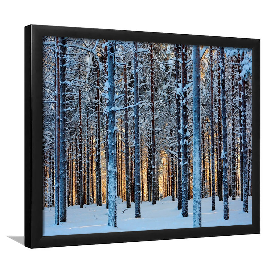 Lapland Woods In Winter At Sunset Kuusamo Finland LargeArt Prints, Framed Art Print, Picture Framed