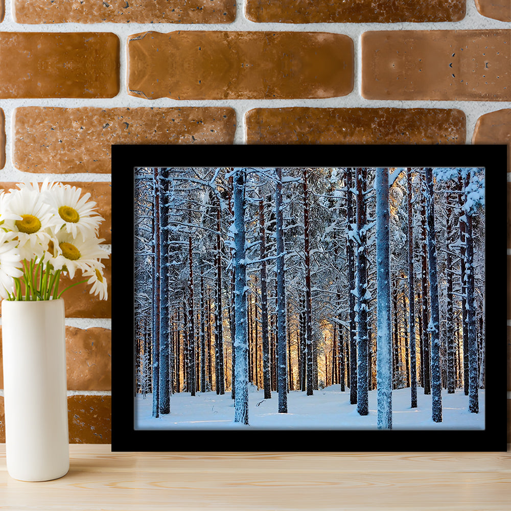 Lapland Woods In Winter At Sunset Kuusamo Finland LargeArt Prints, Framed Art Print, Picture Framed