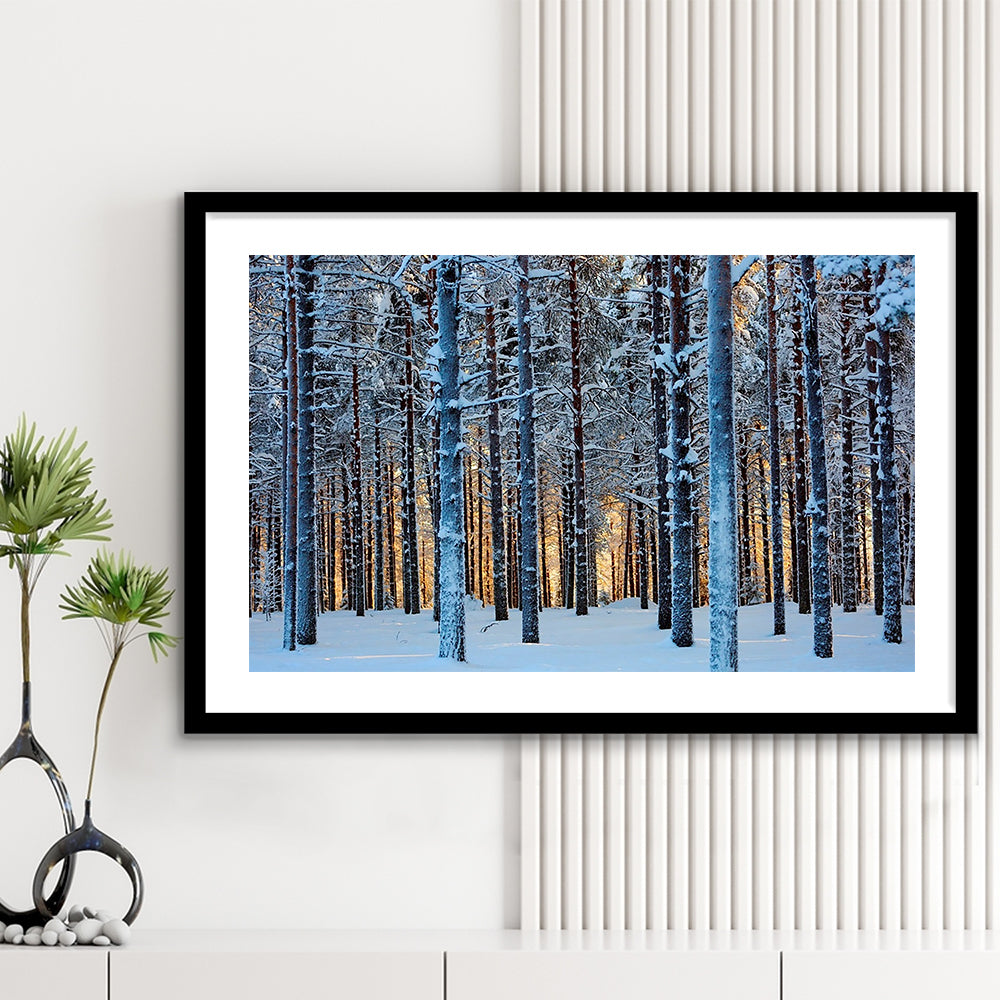 Lapland Woods In Winter At Sunset Kuusamo Finland Large Stretched, Framed Art Print White Border