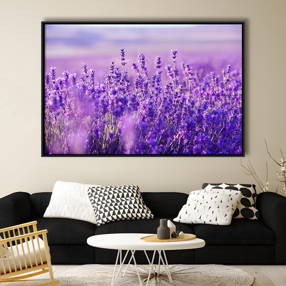 Lavender Field Canvas Print, Lavender Canvas Wall Art, Natural Wall Art Natural, Framed Cavas Print, Floating Frame
