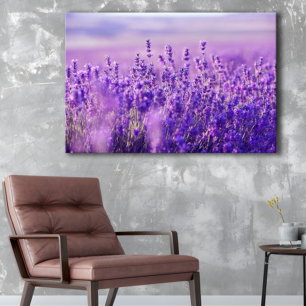 Lavender Field Canvas Print, Lavender Canvas Wall Art, Natural Wall Art Natural Wall Decor, Cavas Print Wall Art Hom Decor