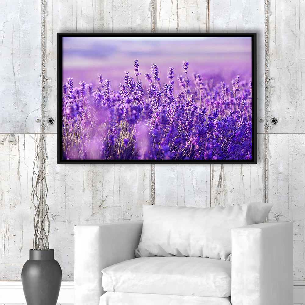 Lavender Field Canvas Print, Lavender Canvas Wall Art, Natural Wall Art Natural, Framed Cavas Print, Floating Frame