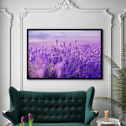 Lavender Field Art Prints, Lavender Art Wall Art, Natural Wall Art Natural Wall Decor, Framed Art Print, Picture Framed