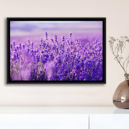Lavender Field Canvas Print, Lavender Canvas Wall Art, Natural Wall Art Natural, Framed Cavas Print, Floating Frame