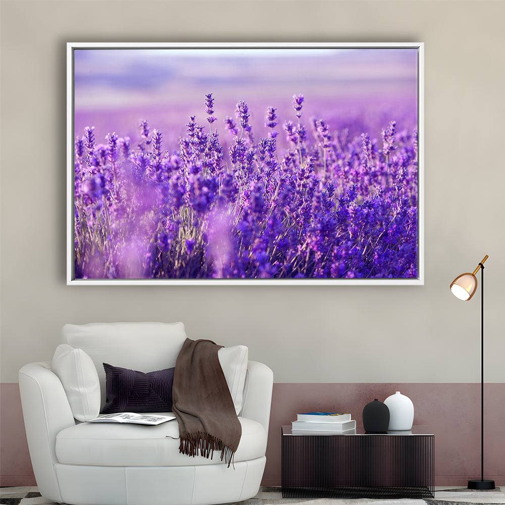 Lavender Field Canvas Print, Lavender Canvas Wall Art, Natural Wall Art Natural, Framed Cavas Print, Floating Frame