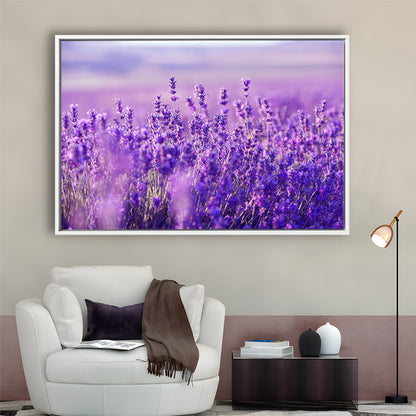 Lavender Field Canvas Print, Lavender Canvas Wall Art, Natural Wall Art Natural, Framed Cavas Print, Floating Frame