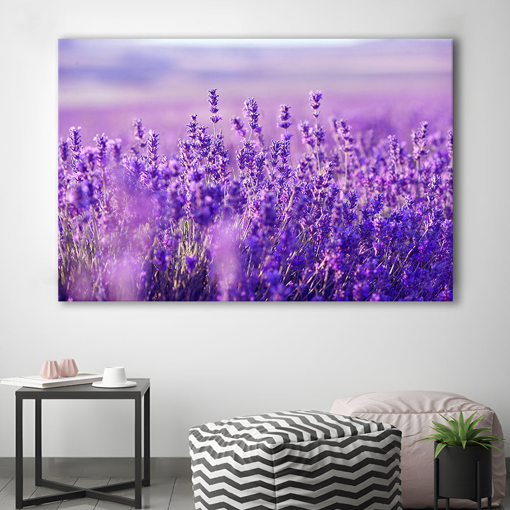 Lavender Field Canvas Print, Lavender Canvas Wall Art, Natural Wall Art Natural Wall Decor, Cavas Print Wall Art Hom Decor