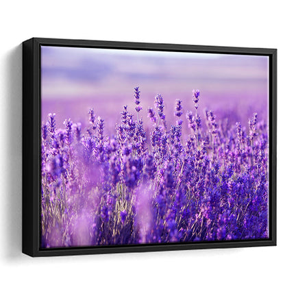Lavender Field Canvas Print, Lavender Canvas Wall Art, Natural Wall Art Natural, Framed Cavas Print, Floating Frame