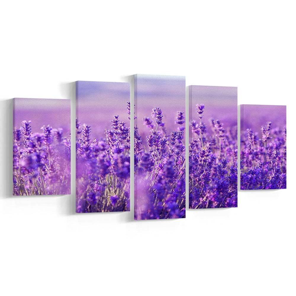 Lavender Field Canvas Print, Lavender Canvas Wall Art, Natural Wall Art Decor, 5 Piece Large Cavas Print Wall Art
