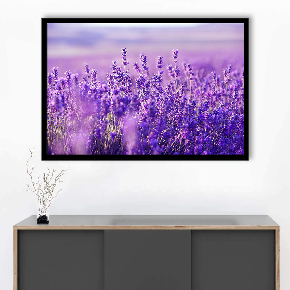 Lavender Field Art Prints, Lavender Art Wall Art, Natural Wall Art Natural Wall Decor, Framed Art Print, Picture Framed