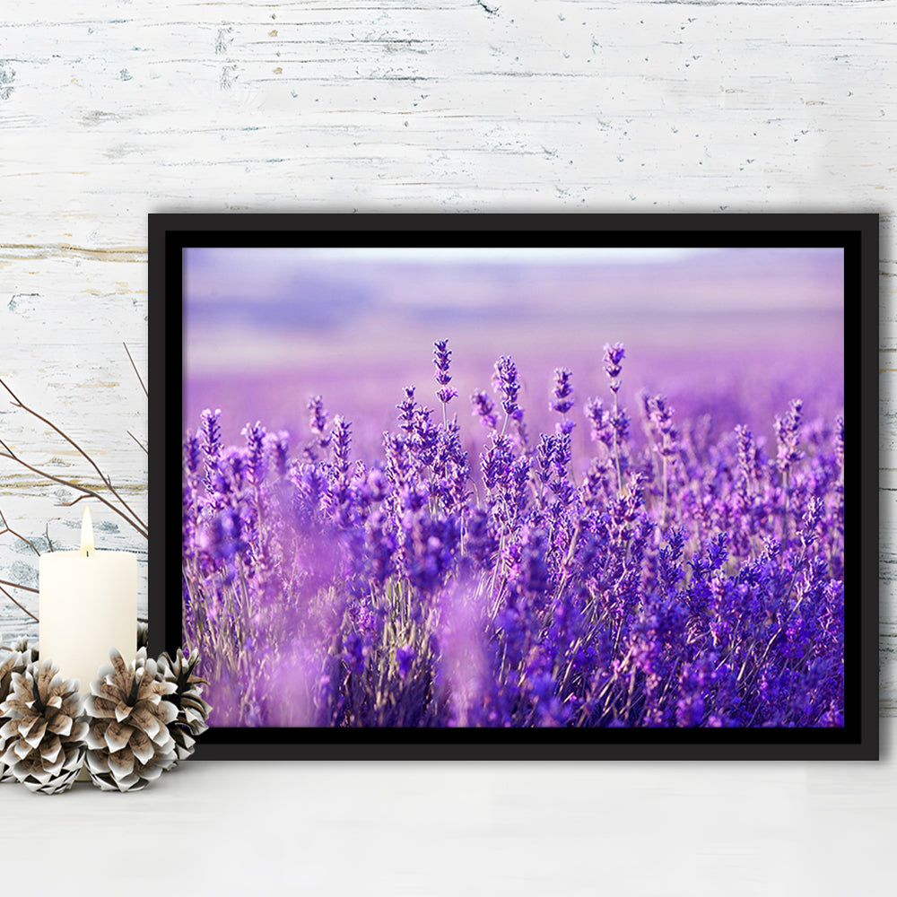 Lavender Field Canvas Print, Lavender Canvas Wall Art, Natural Wall Art Natural, Framed Cavas Print, Floating Frame