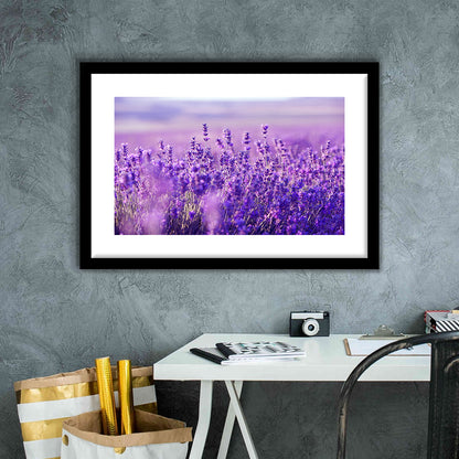Lavender Field Art Print, Lavender Wall Art, Natural Wall Art Natural Wall Decor, Framed Art Print White Border