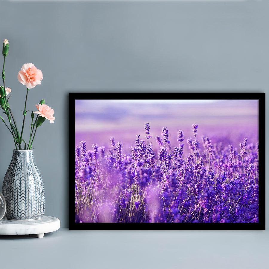 Lavender Field Art Prints, Lavender Art Wall Art, Natural Wall Art Natural Wall Decor, Framed Art Print, Picture Framed