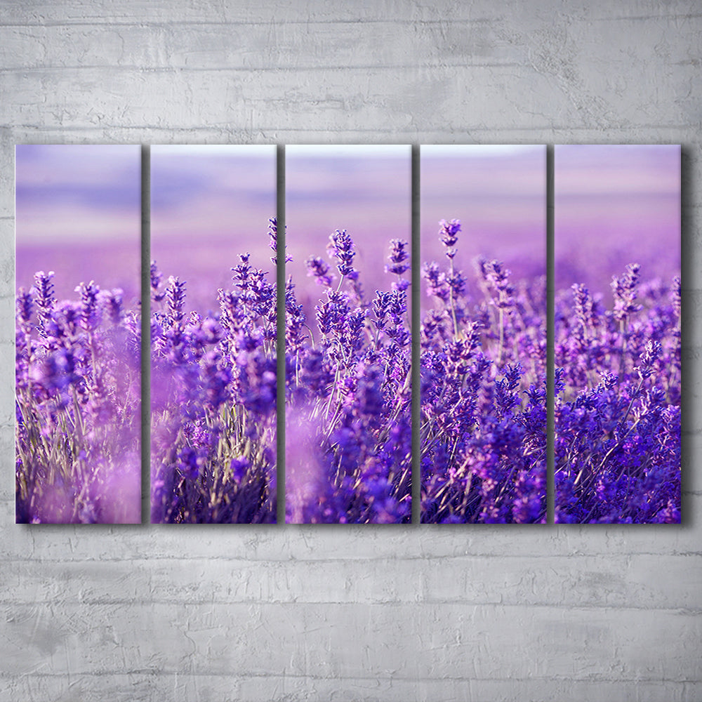 Lavender Field Canvas Print, Lavender Canvas Wall Art, Natural Wall Art, 5 Piece B Extra Large Cavas Print Wall Art Decor