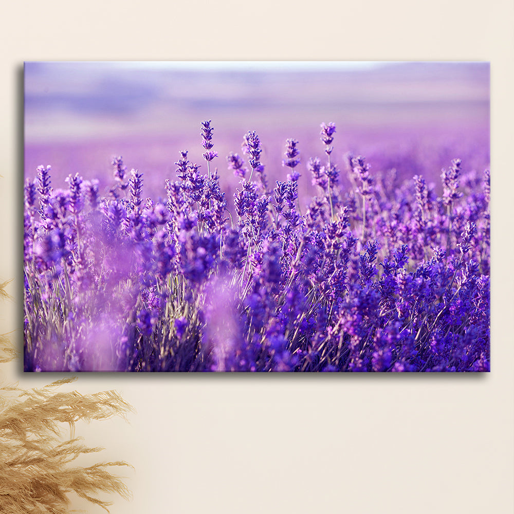 Lavender Field Canvas Print, Lavender Canvas Wall Art, Natural Wall Art Natural Wall Decor, Cavas Print Wall Art Hom Decor