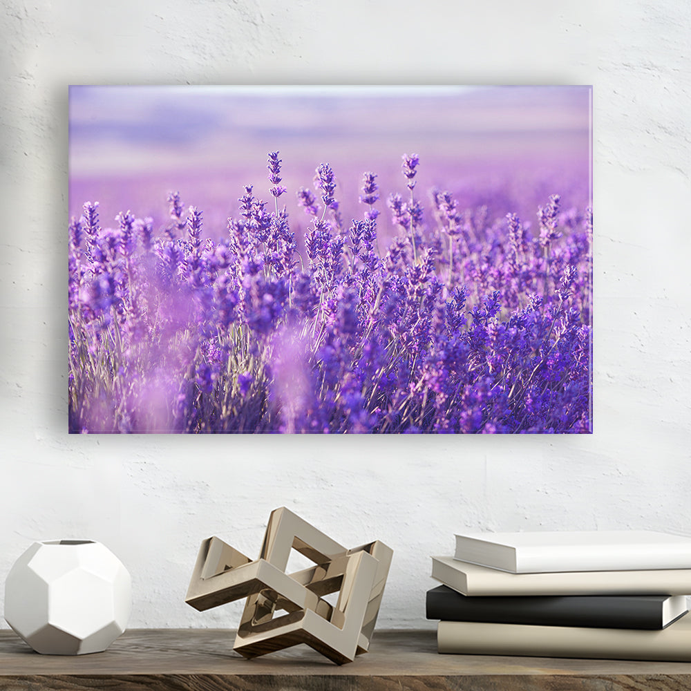 Lavender Field Canvas Print, Lavender Canvas Wall Art, Natural Wall Art Natural Wall Decor, Cavas Print Wall Art Hom Decor