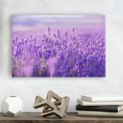 Lavender Field Canvas Print, Lavender Canvas Wall Art, Natural Wall Art Natural Wall Decor, Cavas Print Wall Art Hom Decor