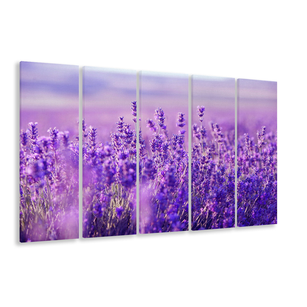 Lavender Field Canvas Print, Lavender Canvas Wall Art, Natural Wall Art, 5 Piece B Extra Large Cavas Print Wall Art Decor