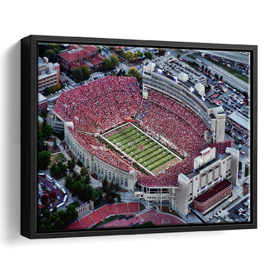 Lincoln memorial stadium, Stadium Canvas, Sport Art, Framed Canvas Print Wall Art, Floating Frame