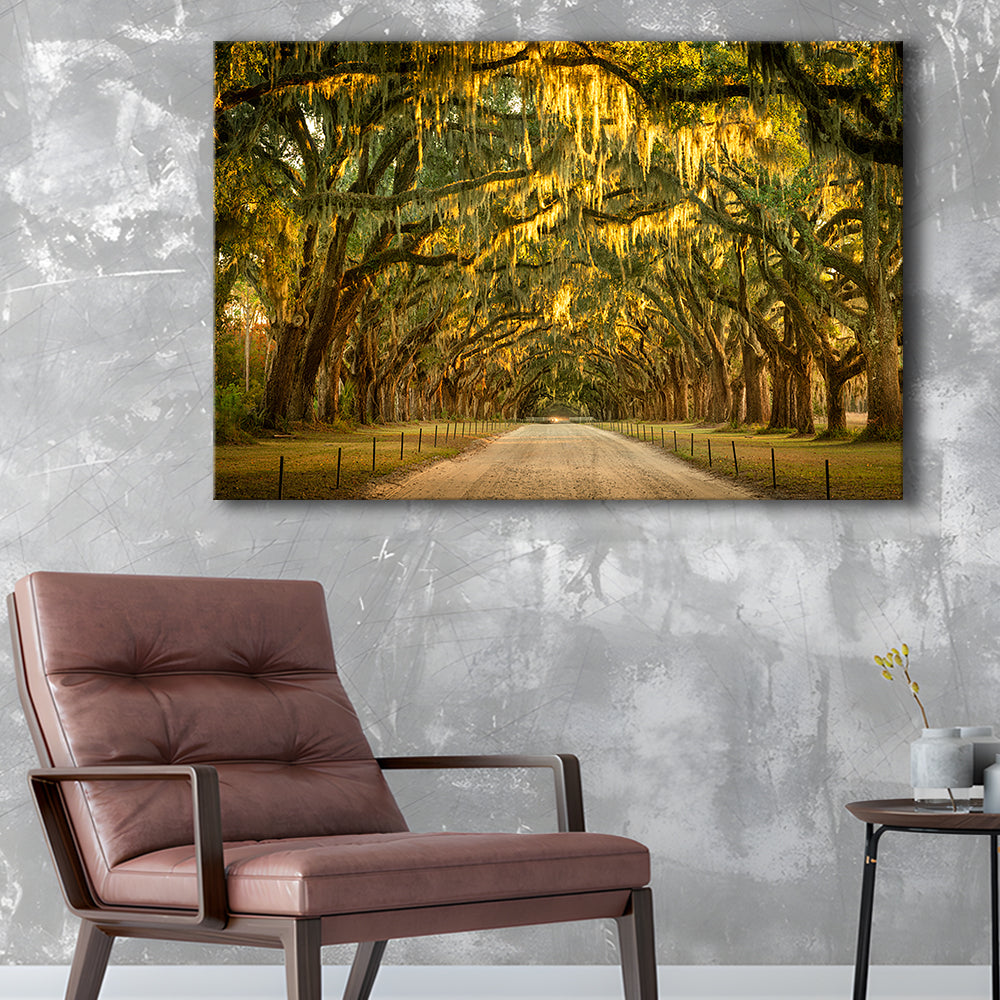 Live oaks and Spanish moss along a dirt road, Cavas Print Wall Art Hom Decor
