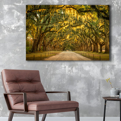 Live oaks and Spanish moss along a dirt road, Cavas Print Wall Art Hom Decor