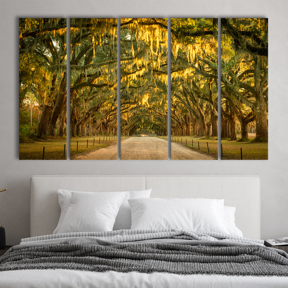Live oaks and Spanish moss along a dirt road, 5 Piece B Extra Large Cavas Print Wall Art Decor