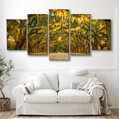 Live oaks and Spanish moss along a dirt road, 5 Piece Large Cavas Print Wall Art