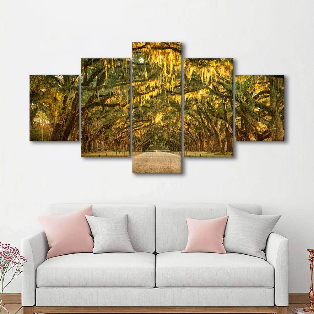 Live oaks and Spanish moss along a dirt road, 5 Piece Large Cavas Print Wall Art