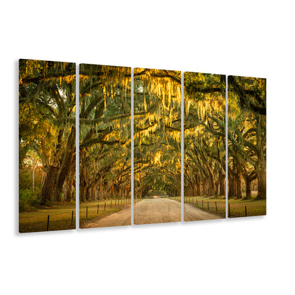Live oaks and Spanish moss along a dirt road, 5 Piece B Extra Large Cavas Print Wall Art Decor