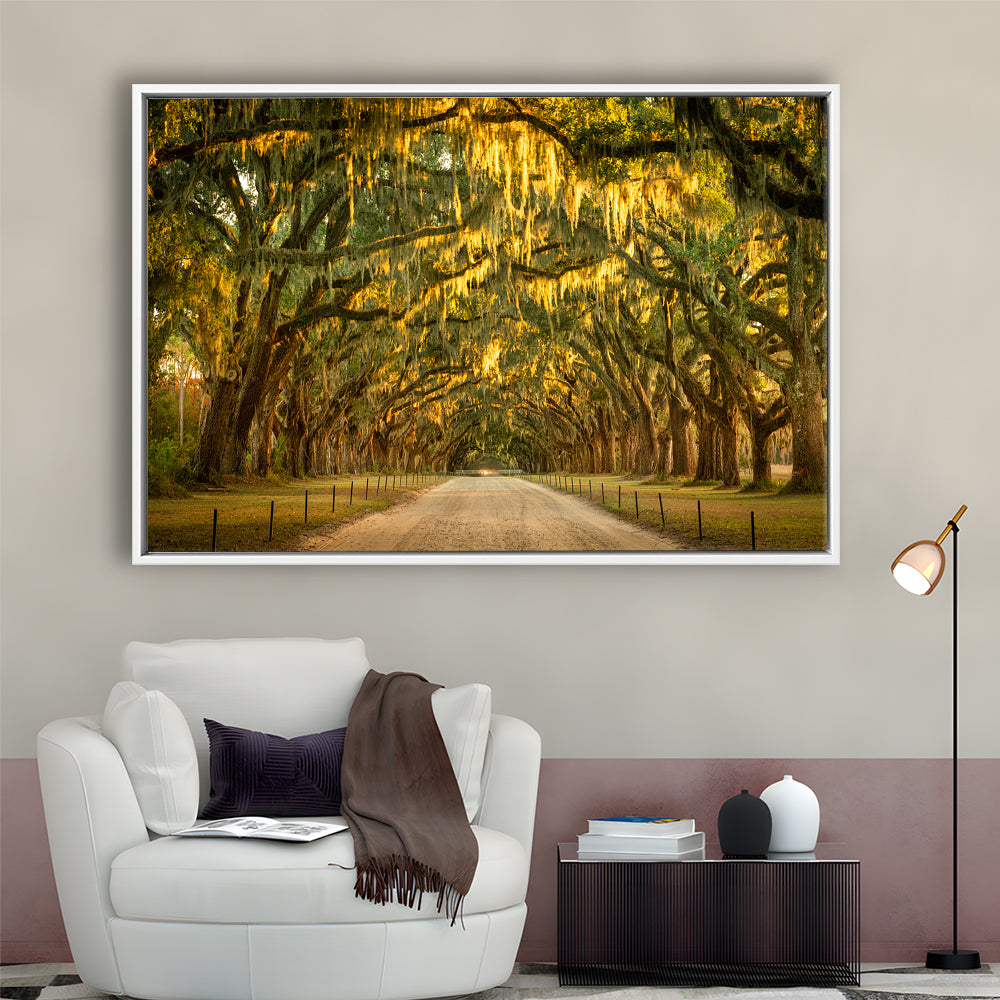 Live Oaks And Spanish Moss Along A Dirt Road, Framed Cavas Print, Floating Frame