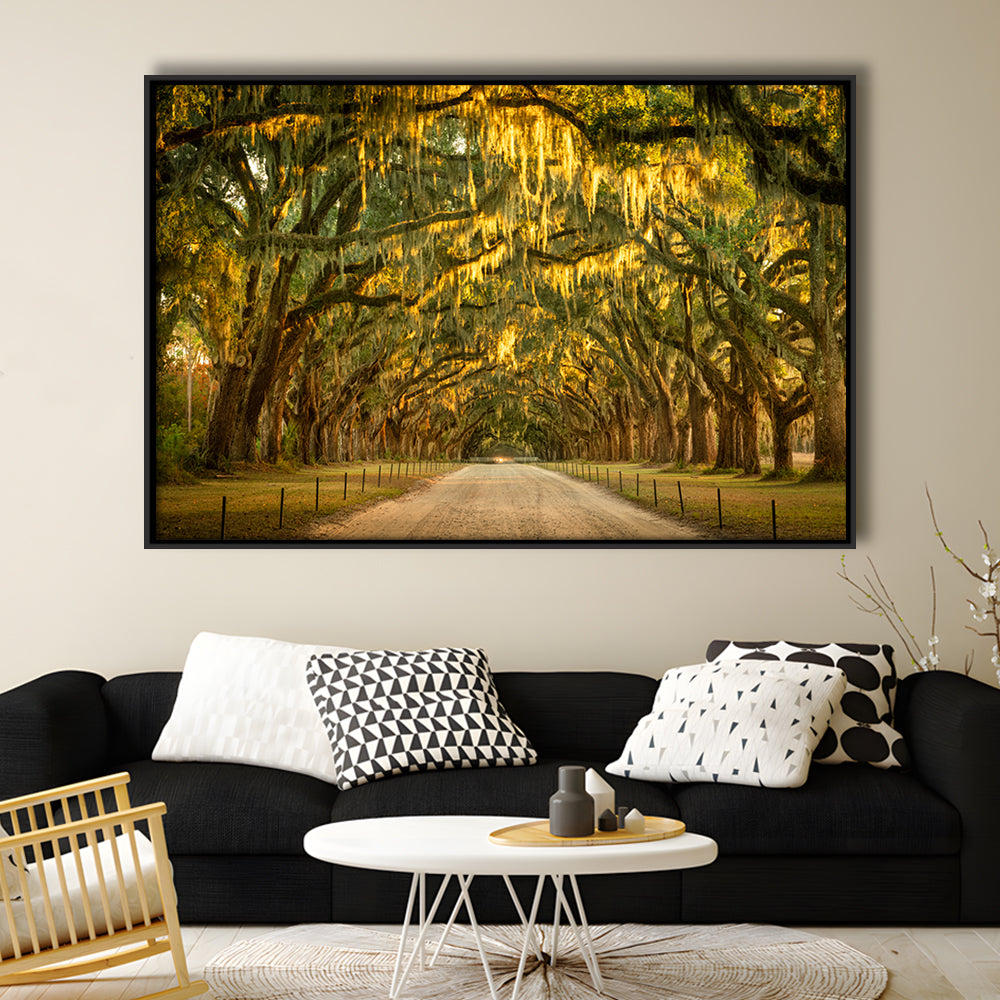 Live Oaks And Spanish Moss Along A Dirt Road, Framed Cavas Print, Floating Frame