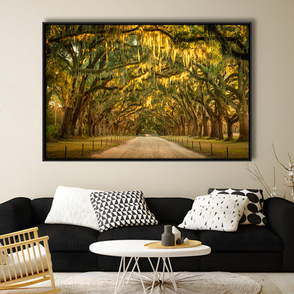 Live Oaks And Spanish Moss Along A Dirt Road, Framed Cavas Print, Floating Frame