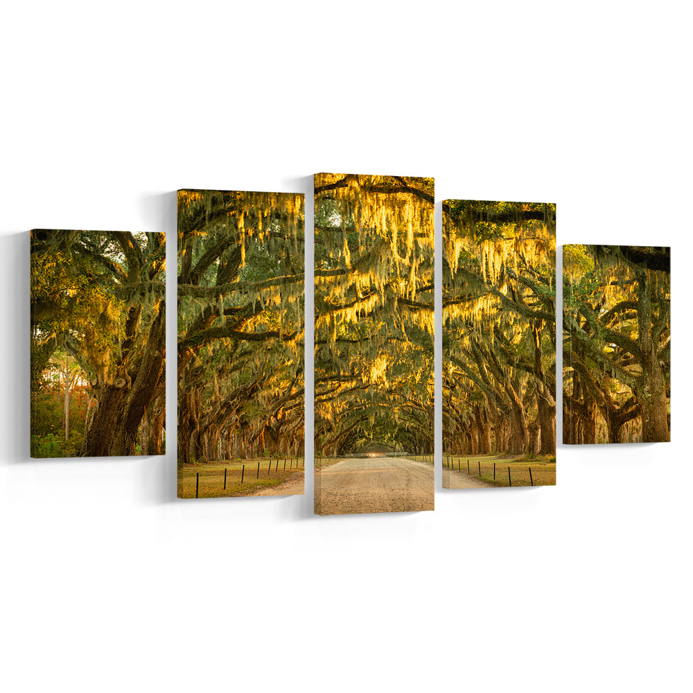 Live oaks and Spanish moss along a dirt road, 5 Piece Large Cavas Print Wall Art