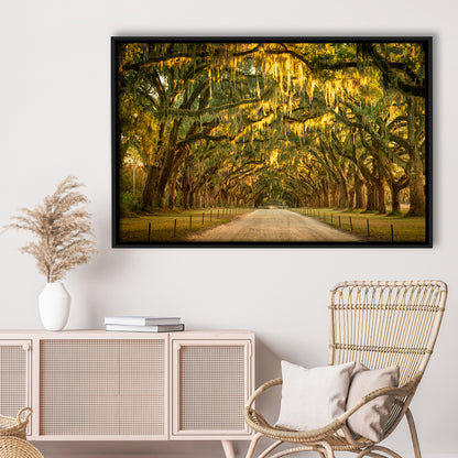 Live Oaks And Spanish Moss Along A Dirt Road, Framed Cavas Print, Floating Frame